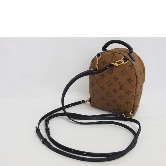 Lv Louis Vuitton Palm Springs Bag Pack Mini Monogram Reverse - Picture 5 of 7
